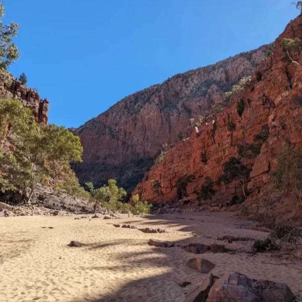 Australian outback