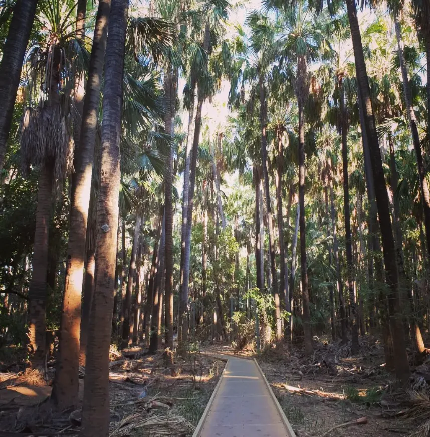 Botanic Walk