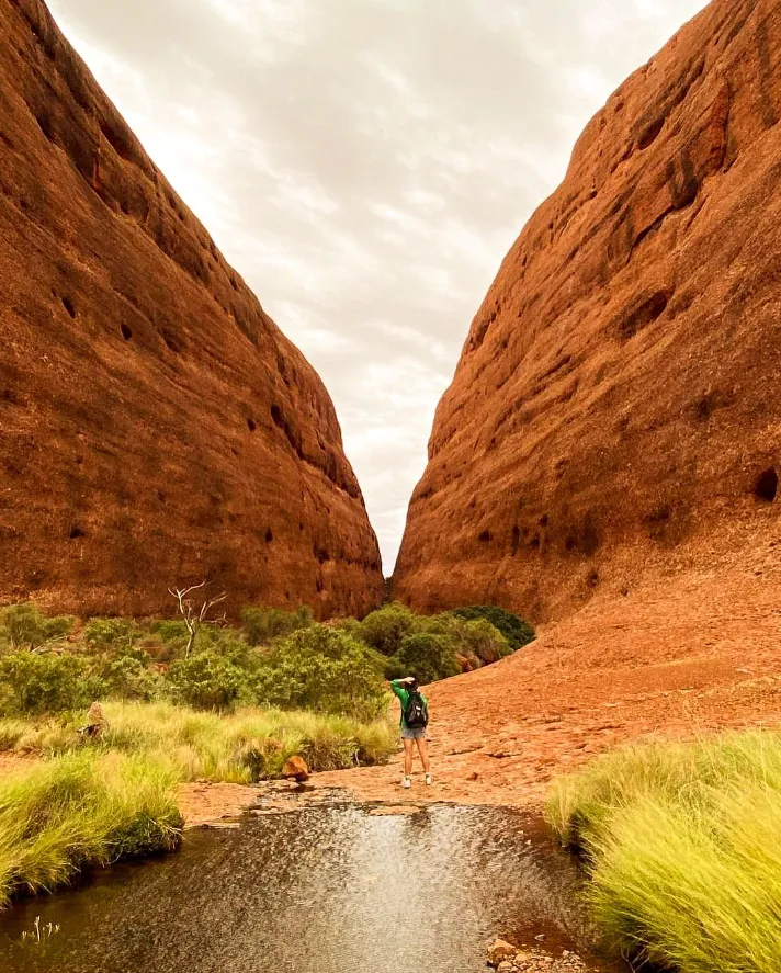 Camp Uluru