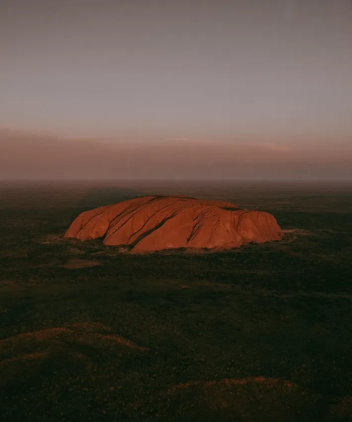Discover unique wildlife at Uluru