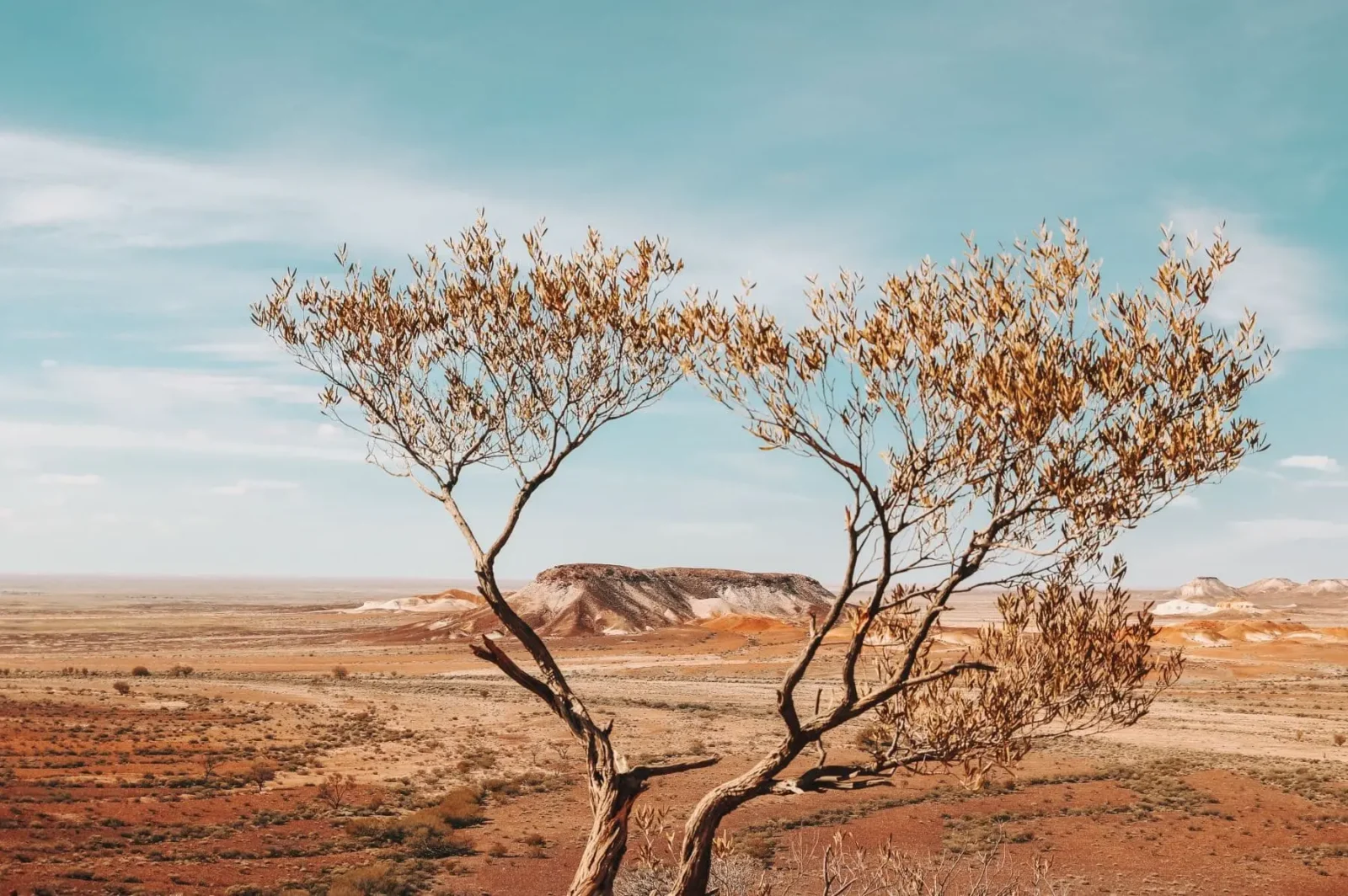 Things to do in Uluru