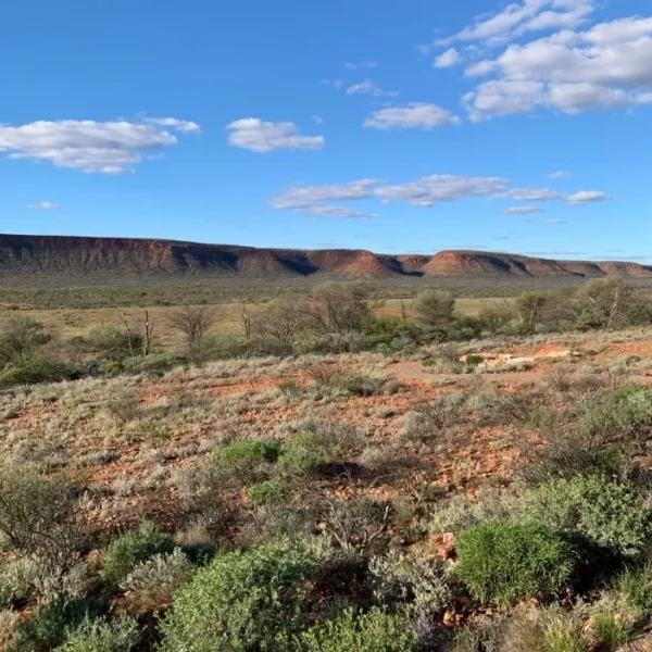 Kings Creek Station