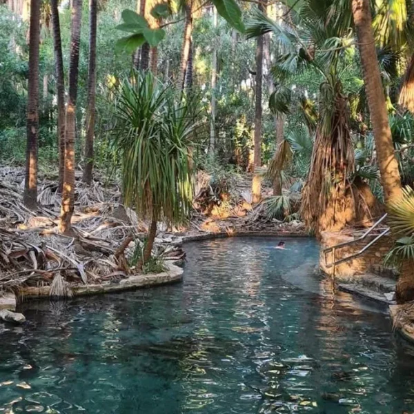 Mataranka Hot Springs