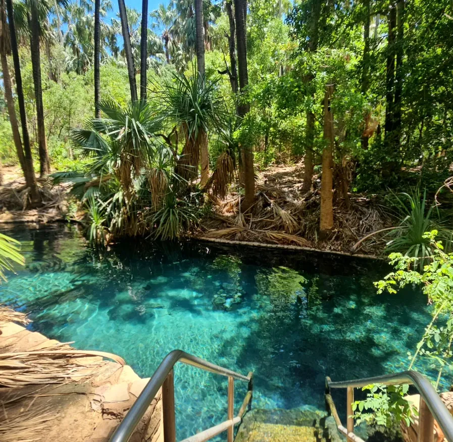 Mataranka Thermal Pool