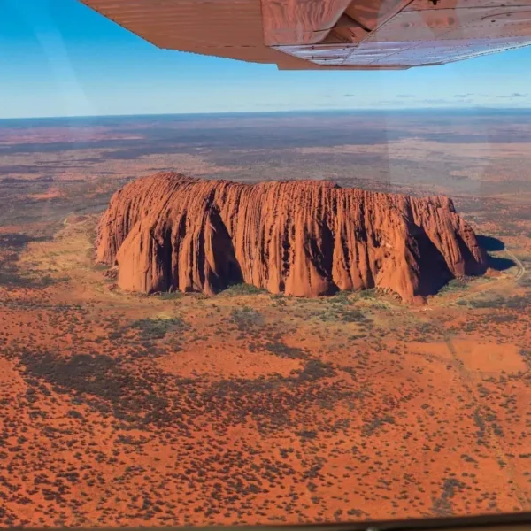 Native Outback Wildlife Uluru