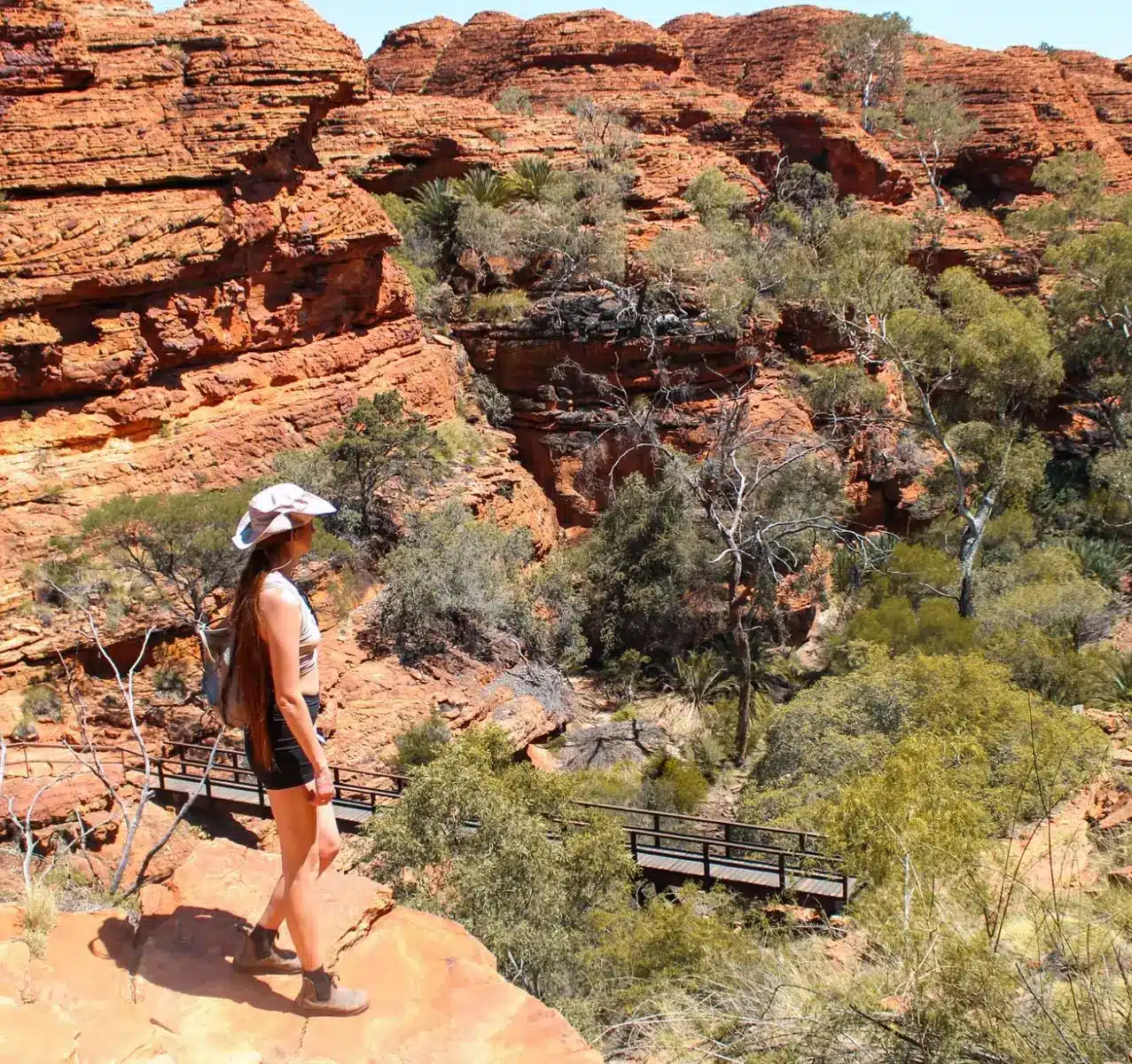 Spot Australian wildlife