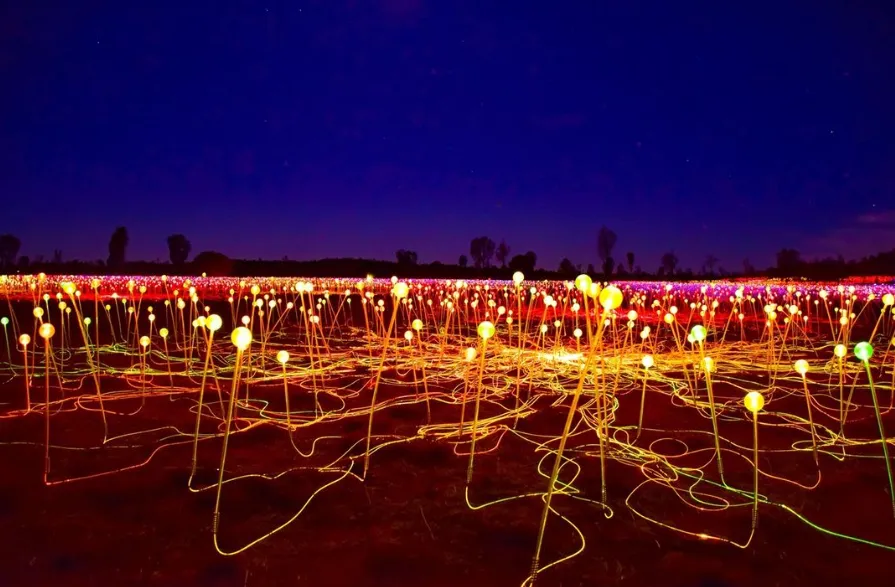 The Field of Light