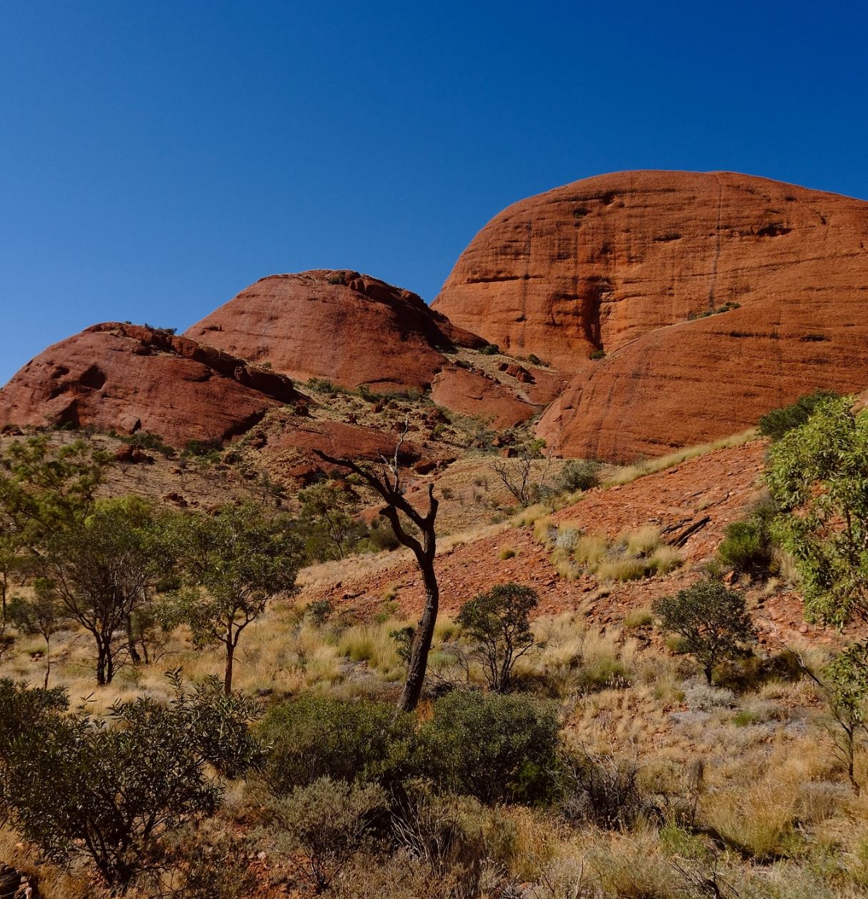 The Legends of Kata Tjuta