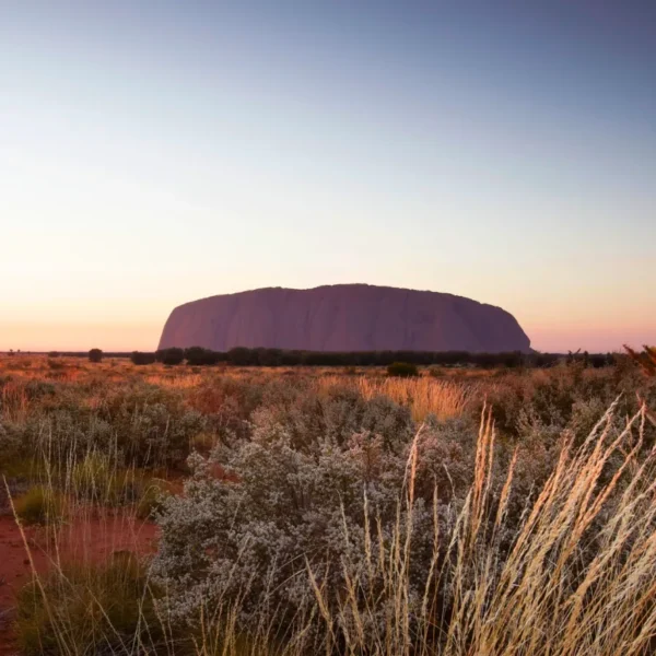 Uluru-Kata Tjuta National Park Cultural Centre