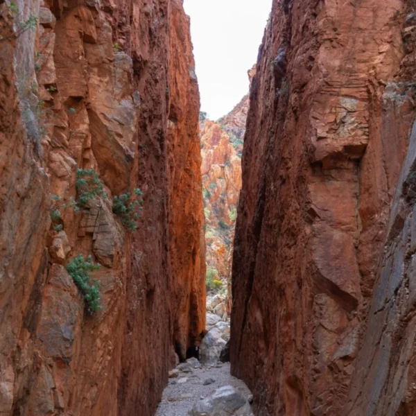 ancient rock formations