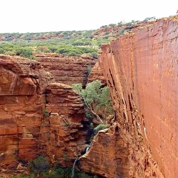 3 Day Kings Canyon tour