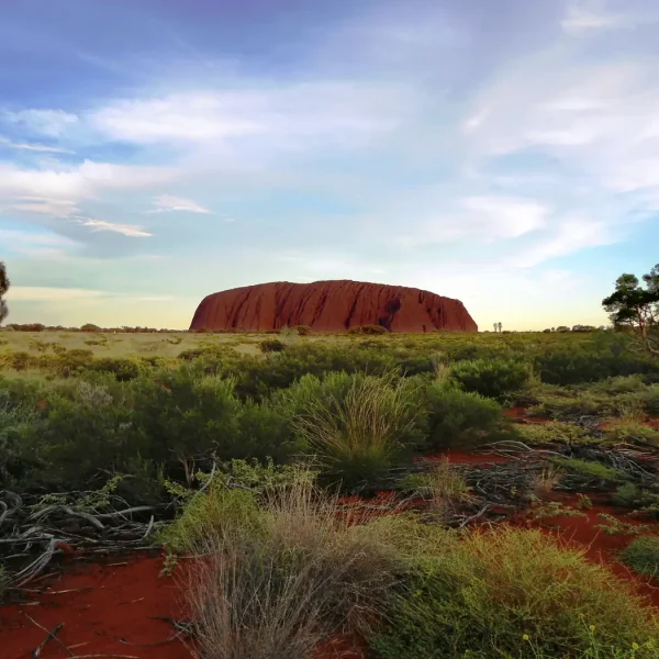 3 Day Kings Canyon tour