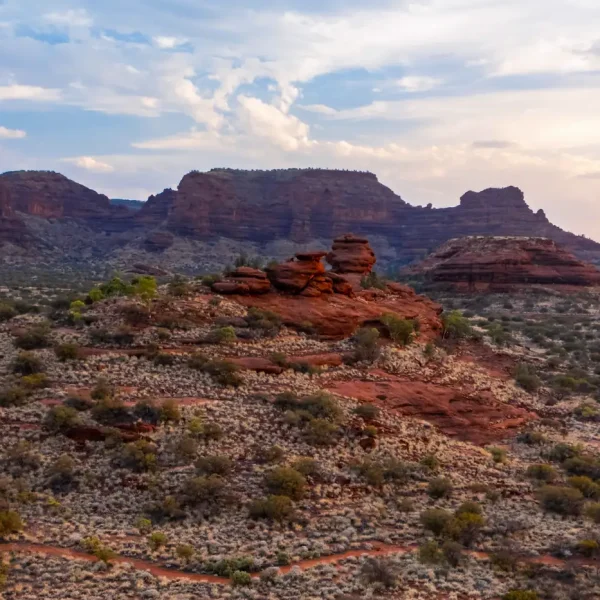 8-Day Adelaide to Uluru tour
