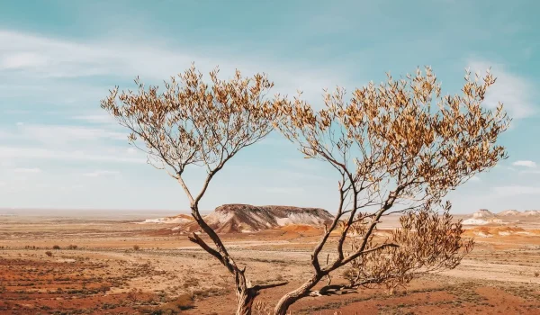 Things to do in Uluru