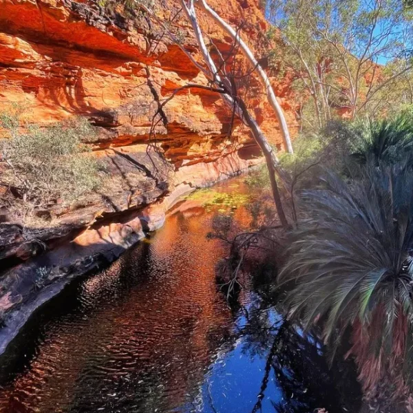 Kings Canyon Resort