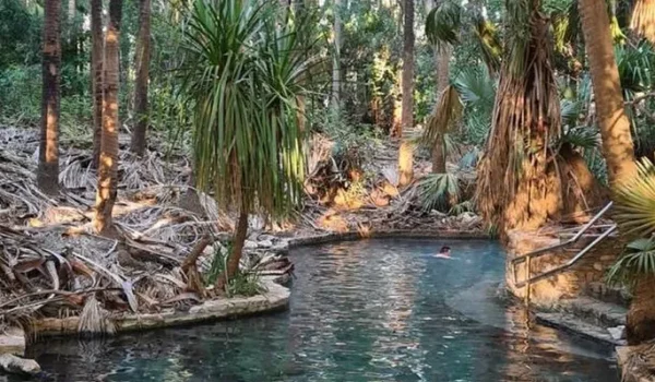 Mataranka Hot Springs