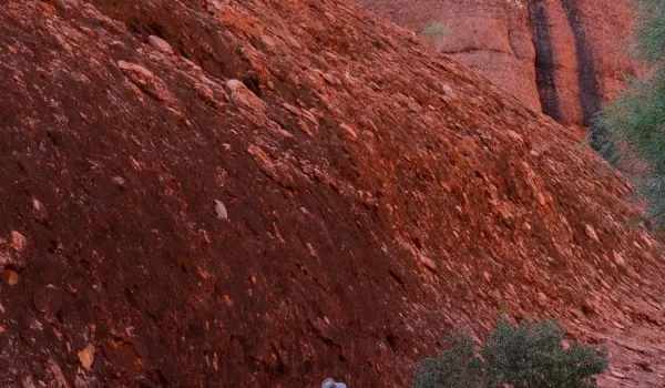 Uluru Base Walk