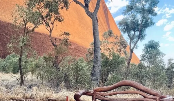 Visit the Uluru-Kata Tjuta National Park Cultural Centre