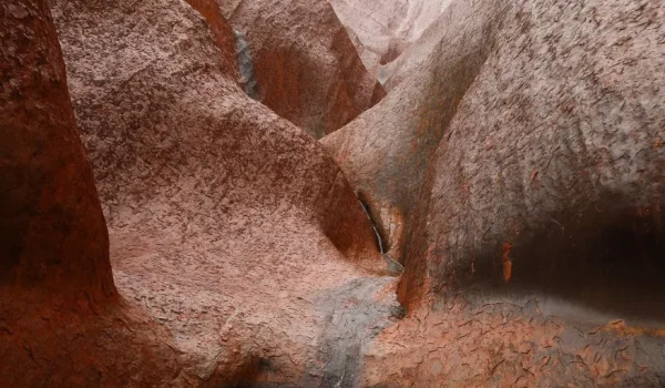 What is a Mutitulu watering hole