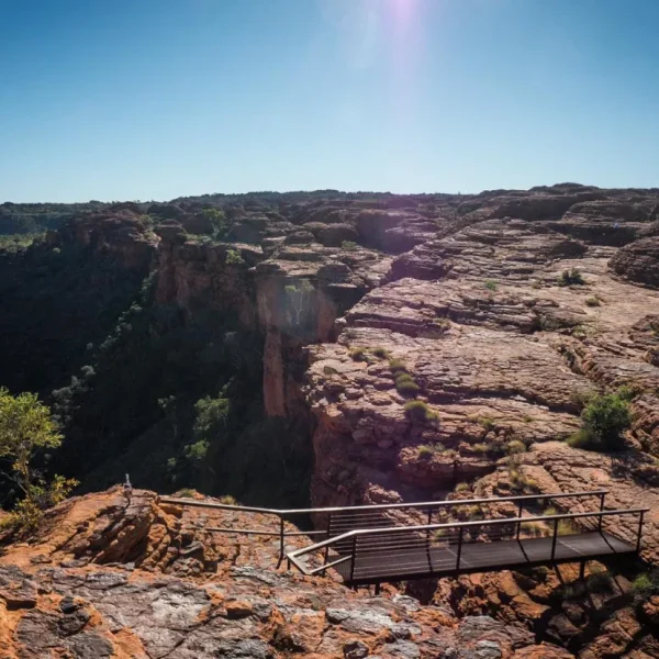 aat kings canyon day tour