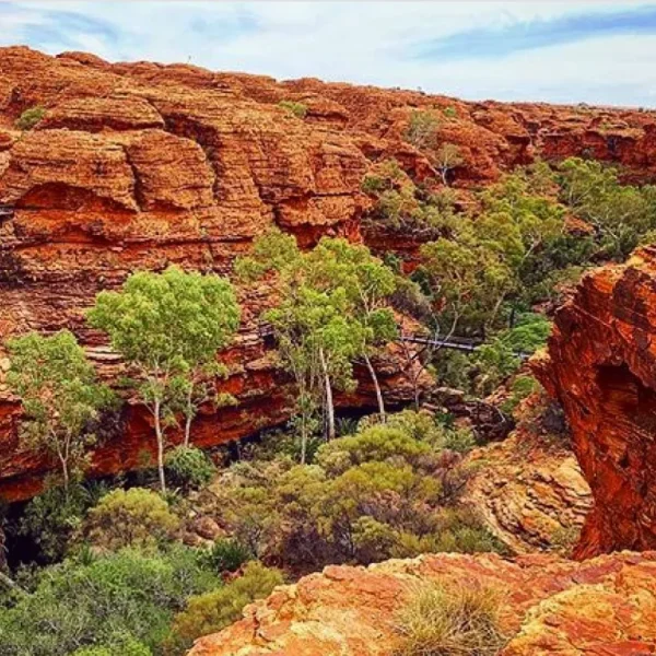 aat kings kings canyon day tour