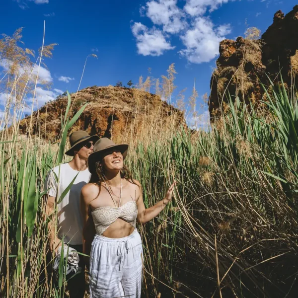 adelai to alice springs tour