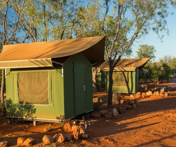 alice spring to uluru tour