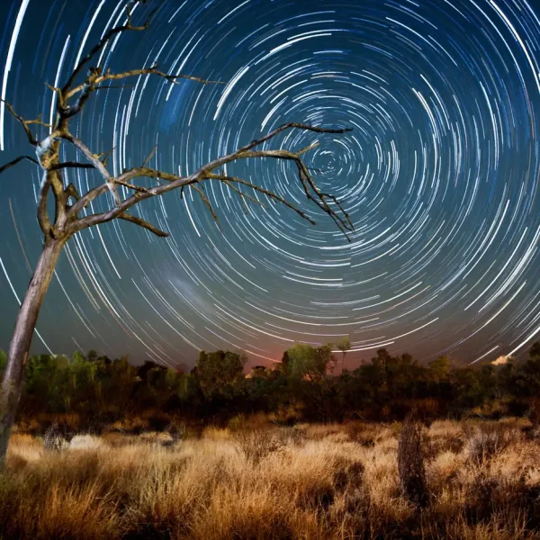 alice spring to uluru tour