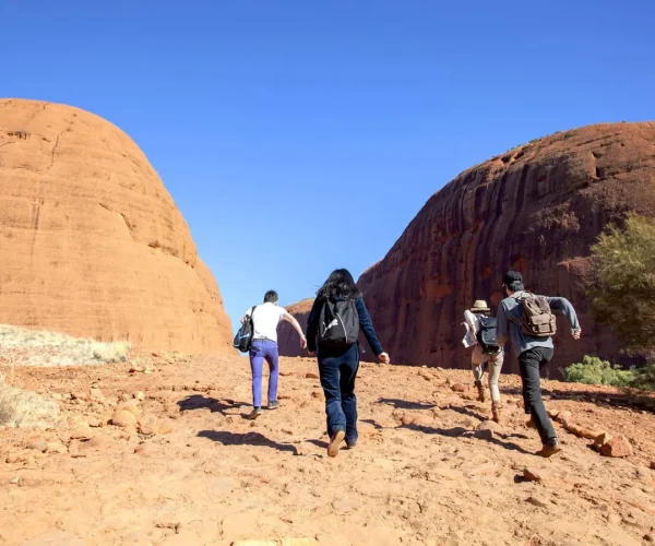alice springs to uluru day tour