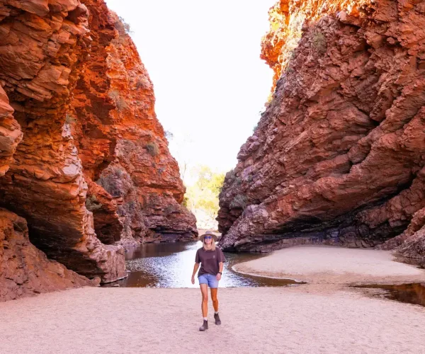 alice springs to uluru day tour