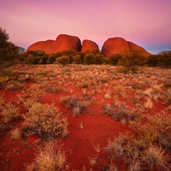 alice springs to uluru tour