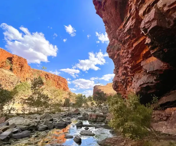alice springs tours to uluru