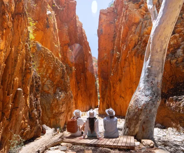 alice springs uluru tour