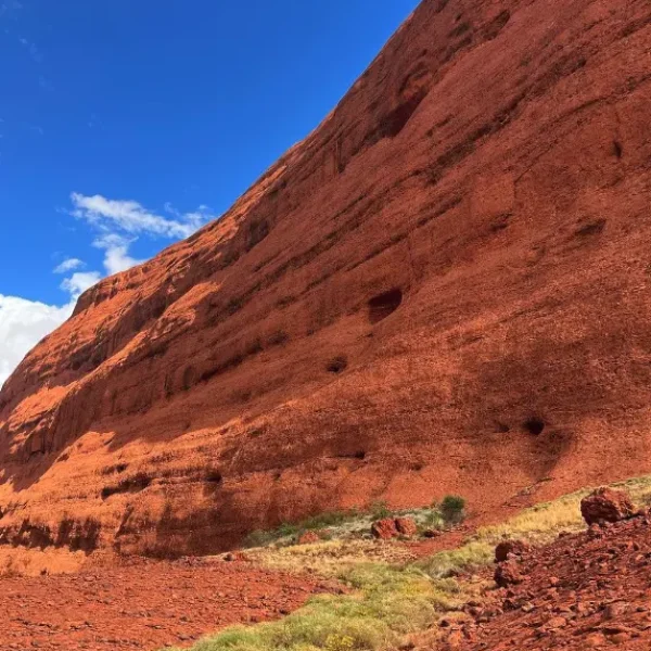 best tours uluru