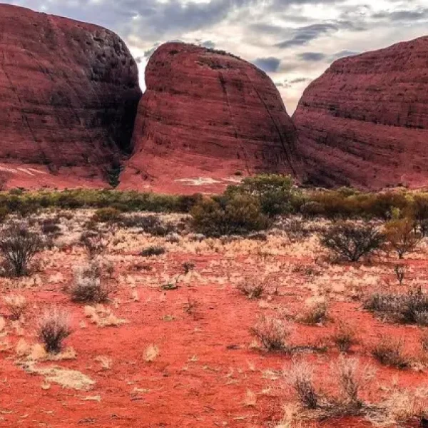 best tours uluru