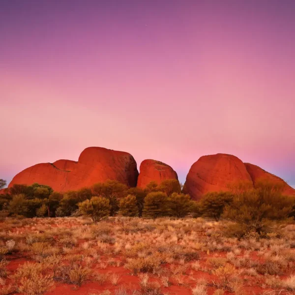 day tours alice springs