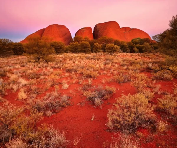 day trip alice springs to uluru