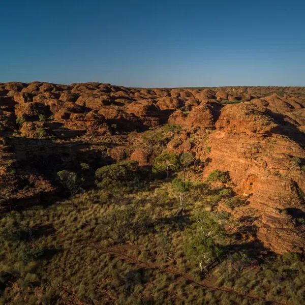 day trip from alice springs