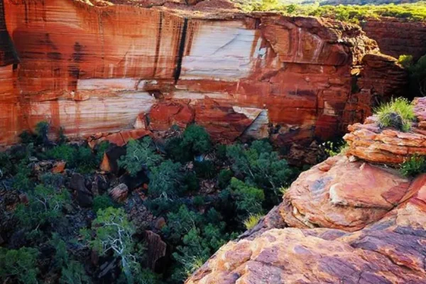 kings canyon day tour