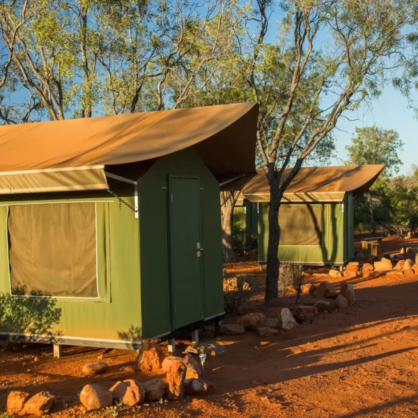kings canyon day tour