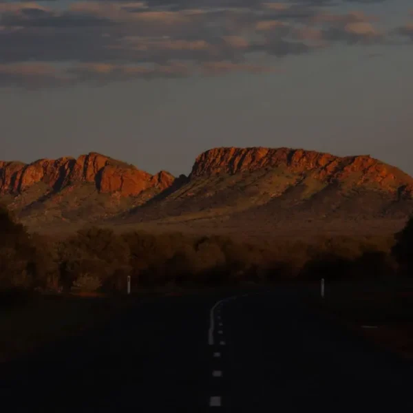 kings canyon tour