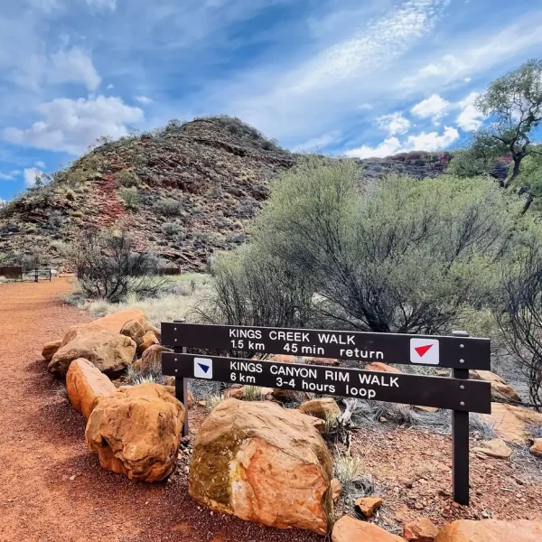kings canyon tour