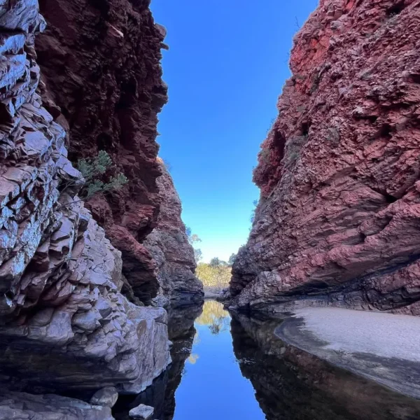 kings canyon tours