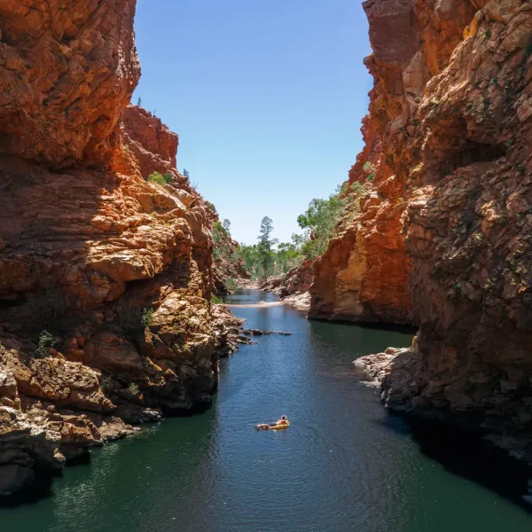 kings canyon tours