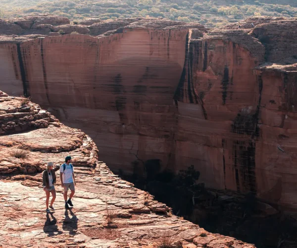 tours from alice springs to uluru