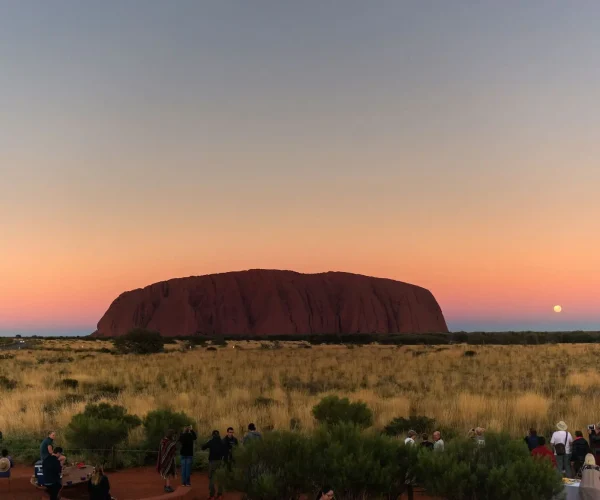 tours from alice springs to uluru