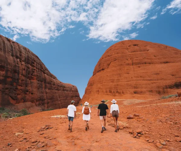 tours from alice springs to uluru