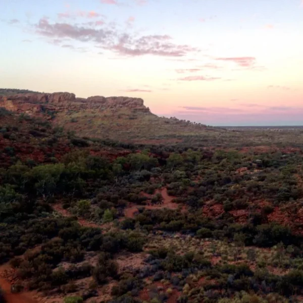 tours uluru and kings canyon