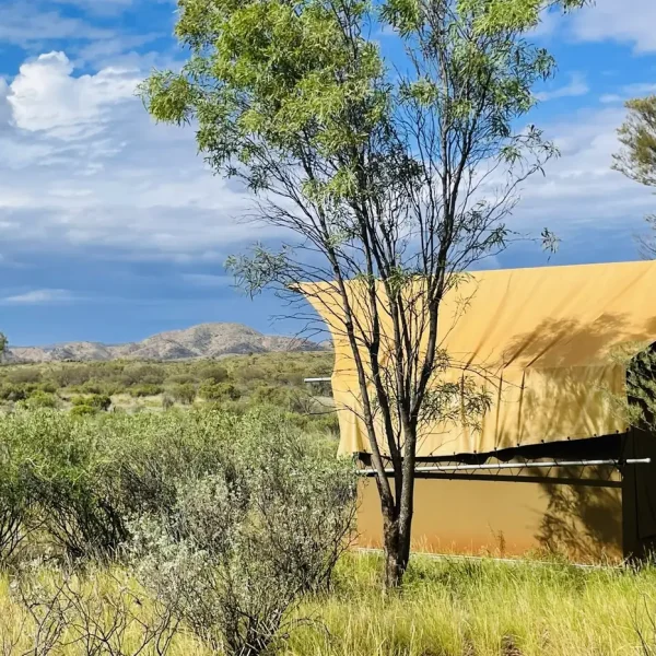 tours uluru and kings canyon