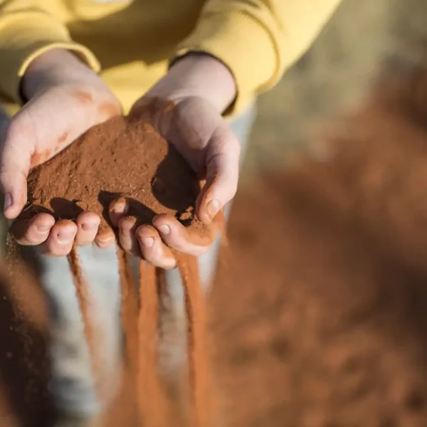 trip to uluru